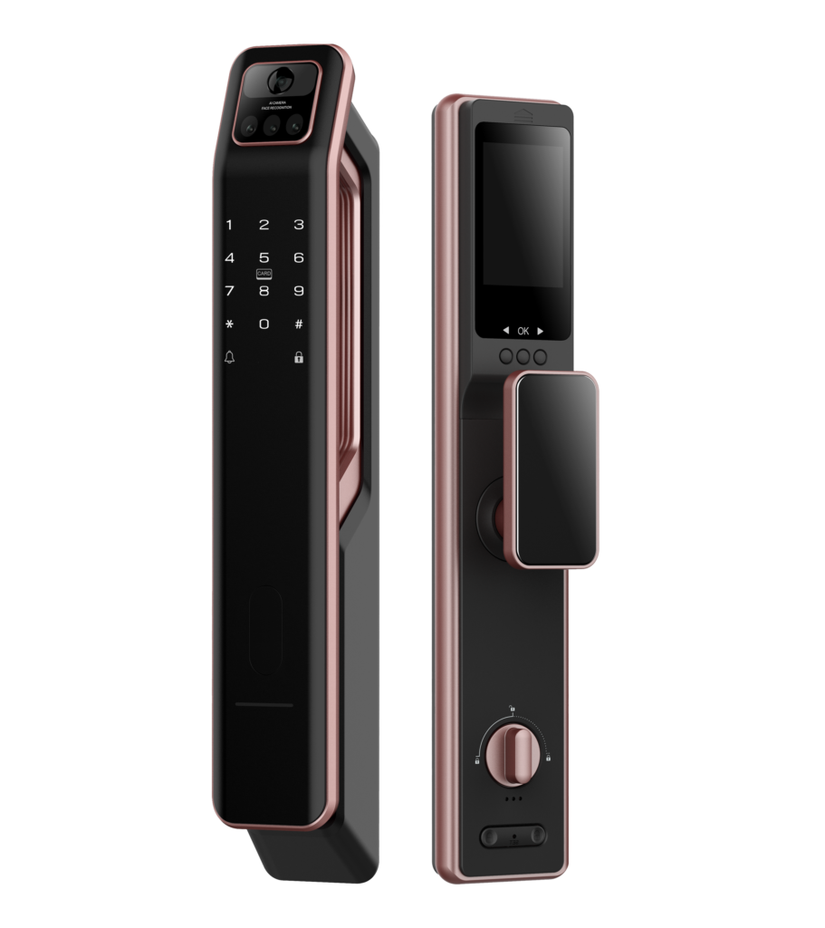 Raizo Smart Lock Malaysia R4165